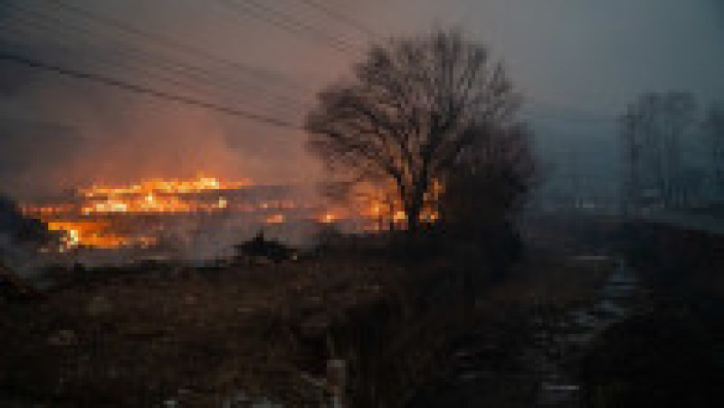 Incendii de vegetaţie în Coreea de Sud. Foto: Profimedia | Poza 5 din 23