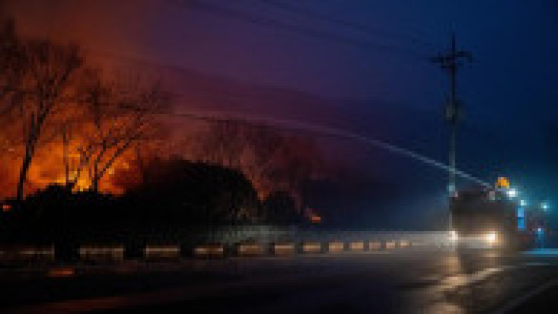 Incendii de vegetaţie în Coreea de Sud. Foto: Profimedia | Poza 6 din 23