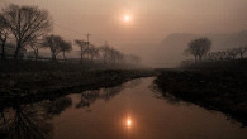 Incendii de vegetaţie în Coreea de Sud. Foto: Profimedia | Poza 21 din 23