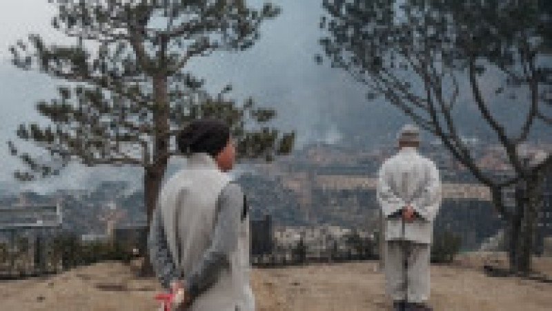 Incendii de vegetaţie în Coreea de Sud. Foto: Profimedia | Poza 19 din 23