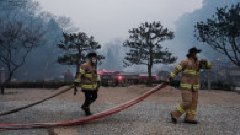 Incendii de vegetaţie în Coreea de Sud. Foto: Profimedia | Poza 20 din 23