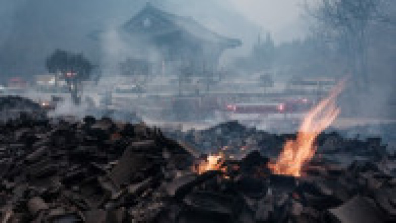Incendii de vegetaţie în Coreea de Sud. Foto: Profimedia | Poza 22 din 23
