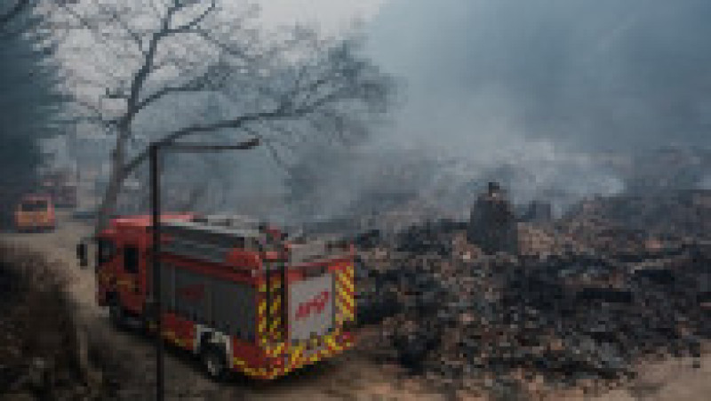 Incendii de vegetaţie în Coreea de Sud. Foto: Profimedia | Poza 17 din 23