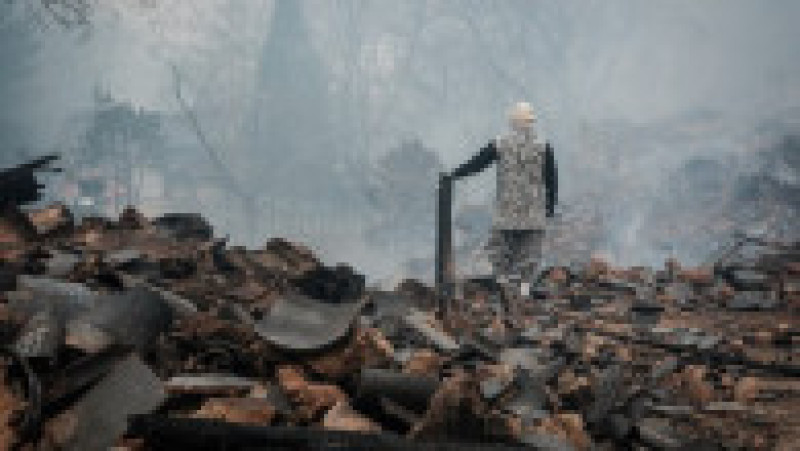 Incendii de vegetaţie în Coreea de Sud. Foto: Profimedia | Poza 14 din 23