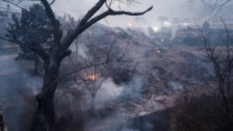 Incendii de vegetaţie în Coreea de Sud. Foto: Profimedia | Poza 15 din 23