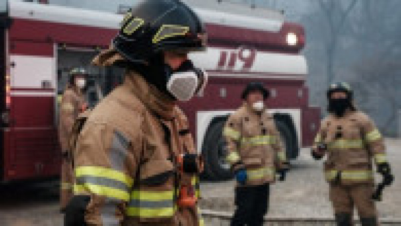 Incendii de vegetaţie în Coreea de Sud. Foto: Profimedia | Poza 16 din 23