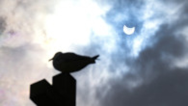 Eclipsa parțială de Soare, văzută din Galicia, Spania. Sursa foto: Profimedia Images | Poza 9 din 10