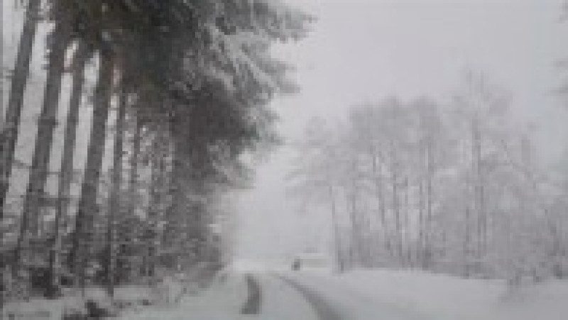 Drumarii acționează în mai multe județe. Foto. Digi24 | Poza 1 din 5