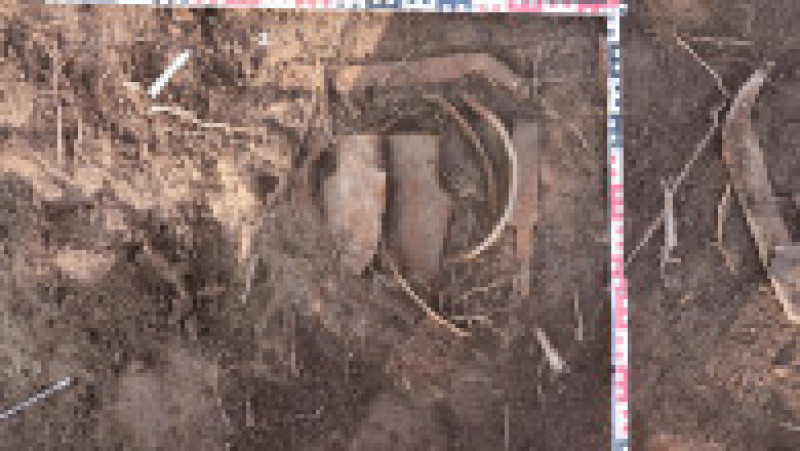 Depozite de arme şi unelte agricole din fier datând din perioada medievală timpurie au fost descoperite într-un sat situat la câţiva kilometri de Ploieşti. Foto: Facebook/ Muzeul Judetean de Istorie si Arheologie Prahova | Poza 5 din 15