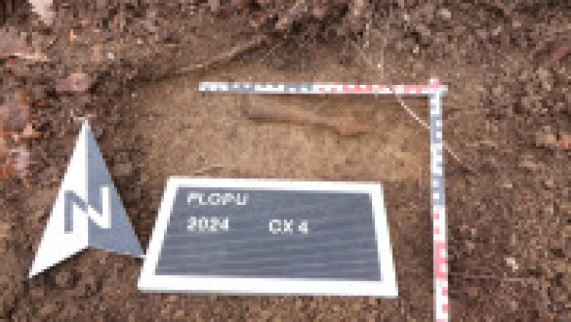 Depozite de arme şi unelte agricole din fier datând din perioada medievală timpurie au fost descoperite într-un sat situat la câţiva kilometri de Ploieşti. Foto: Facebook/ Muzeul Judetean de Istorie si Arheologie Prahova | Poza 6 din 15