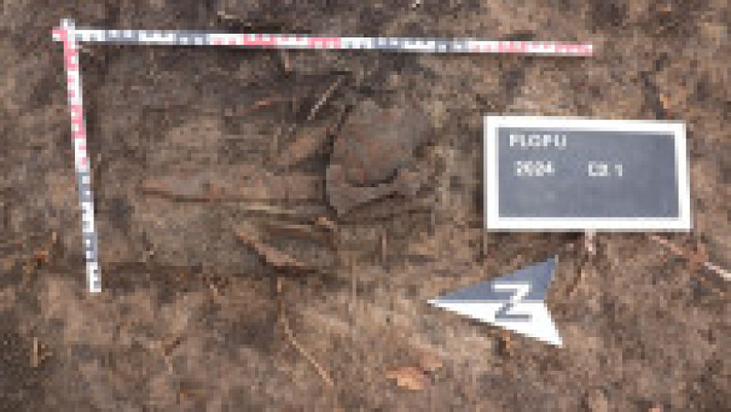 Depozite de arme şi unelte agricole din fier datând din perioada medievală timpurie au fost descoperite într-un sat situat la câţiva kilometri de Ploieşti. Foto: Facebook/ Muzeul Judetean de Istorie si Arheologie Prahova | Poza 9 din 15