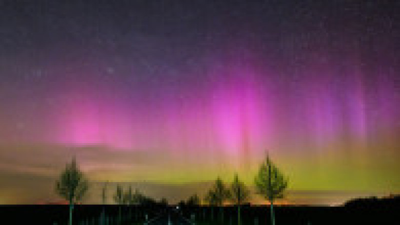 Foto: Profimedia Images | Poza 3 din 5