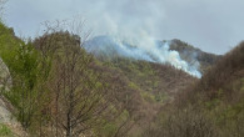 Foto: ISU Argeș | Poza 2 din 4