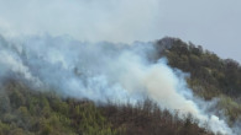 Foto: ISU Argeș | Poza 3 din 4