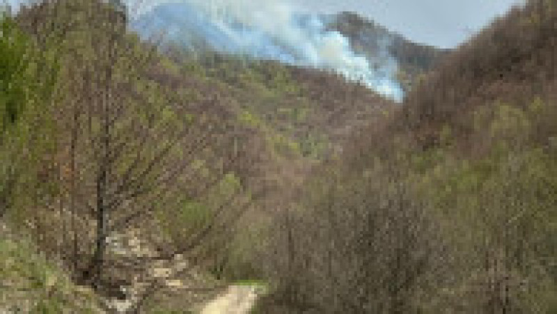 Foto: ISU Argeș | Poza 4 din 4