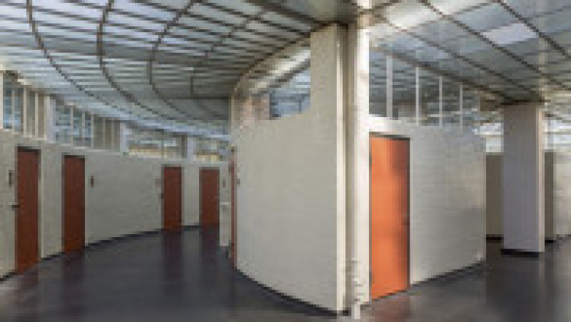 Foto: Profimedia Images | Poza 7 din 7