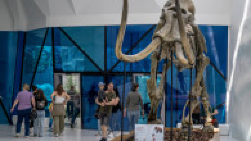 În Grădina Zoologică din Nyiregyhaza trăiesc 5.000 de animale. Sursa foto: Ovi D. Pop | Poza 14 din 18