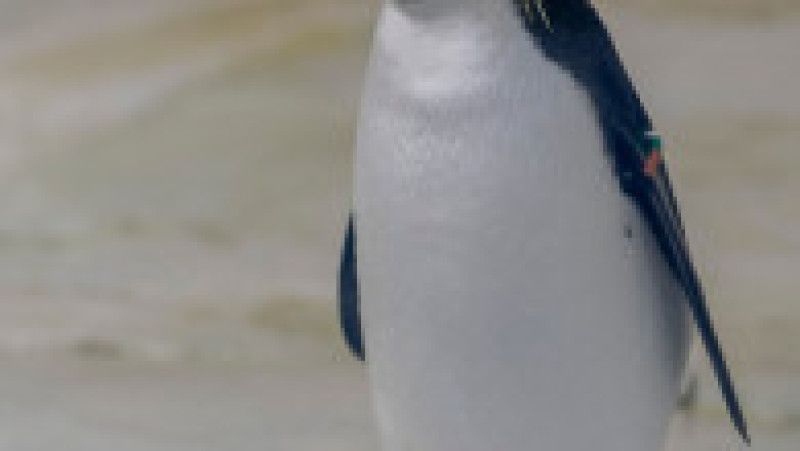 În Grădina Zoologică din Nyiregyhaza trăiesc 5.000 de animale. Sursa foto: Ovi D. Pop | Poza 12 din 18