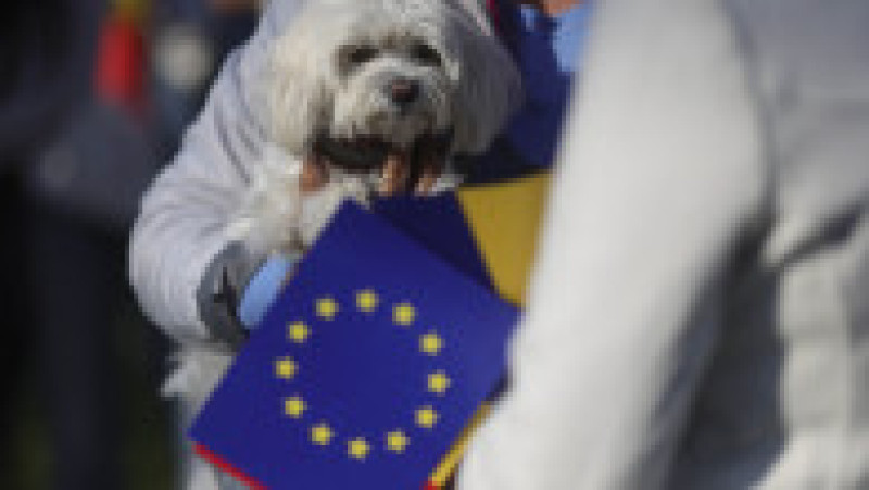 Foto: Inquam Photos / Octav Ganea | Poza 5 din 15