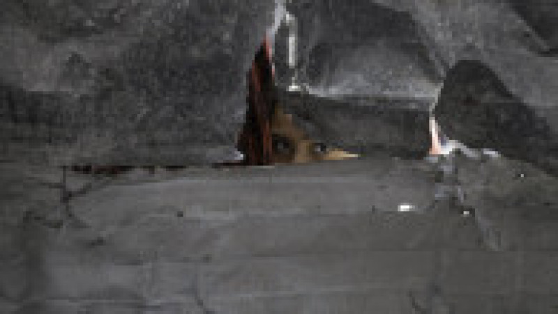 Foto: Profimedia | Poza 9 din 10