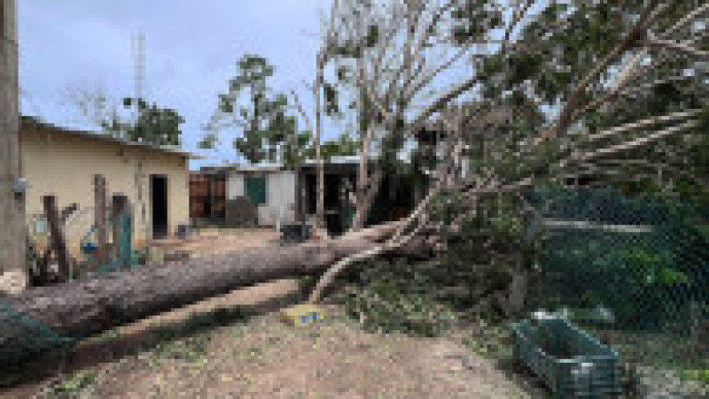 Mai multe zone din sudul Mexicului au fost grav afectate de uraganul Erick, care a provocat distrugeri masive, inundații și pagube materiale. Foto: Profimedia | Poza 2 din 5