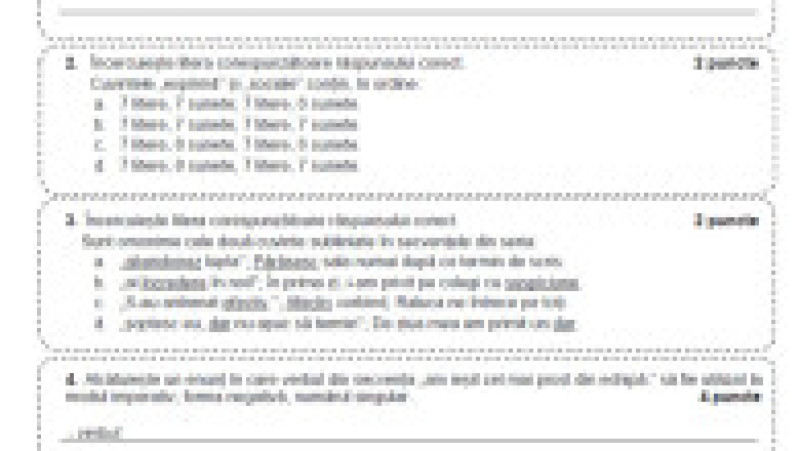 Subiecte limba și literatura română, minoritatea maghiară, pagina 6 | Poza 6 din 10