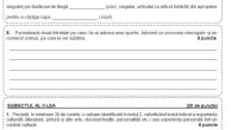 Subiecte limba și literatura română, minoritatea maghiară, pagina 7 | Poza 7 din 10
