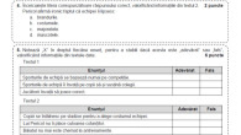 Subiecte limba și literatura română, minoritatea maghiară, pagina 4 | Poza 4 din 10