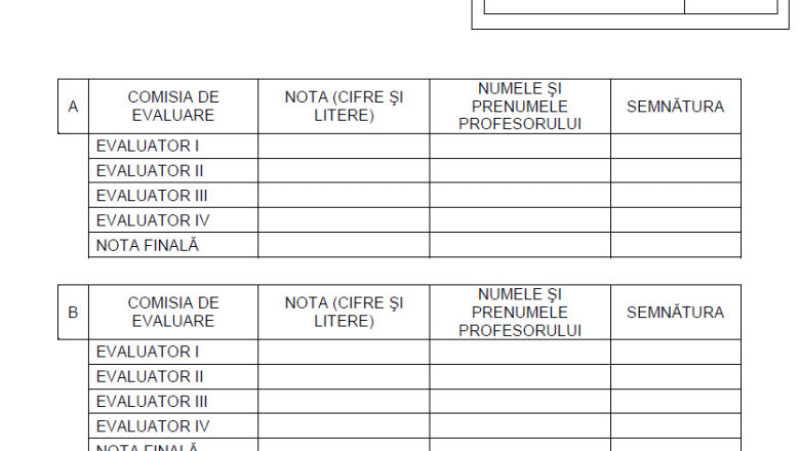 Subiecte limba și literatura română, minoritatea maghiară, pagina 1