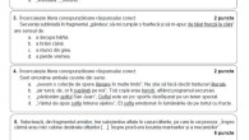 Subiecte Evaluare Națională, limba și literatura română, pagina 7 | Poza 7 din 10