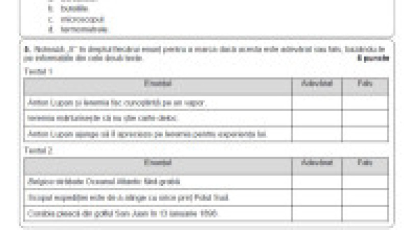 Subiecte Evaluare Națională, limba și literatura română, pagina 4 | Poza 4 din 10