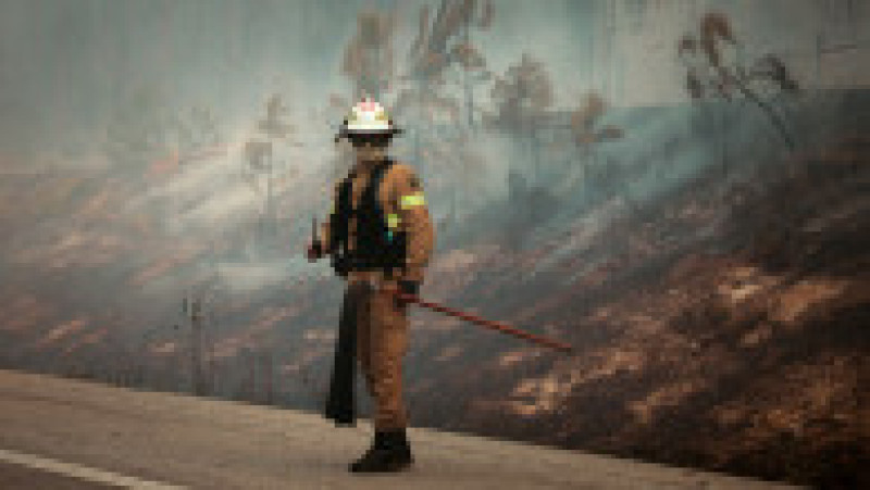Un pompier monitorizează un incendiu forestier în Pombal, Portugalia, pe 29 iulie 2025. Foto: Profimedia | Poza 2 din 9