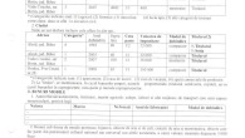 declarație de avere Ilie Bolojan anul 2007 1/4 | Poza 1 din 4
