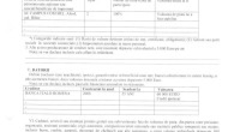 declarație de avere Ilie Bolojan anul 2007 2/4 | Poza 2 din 4