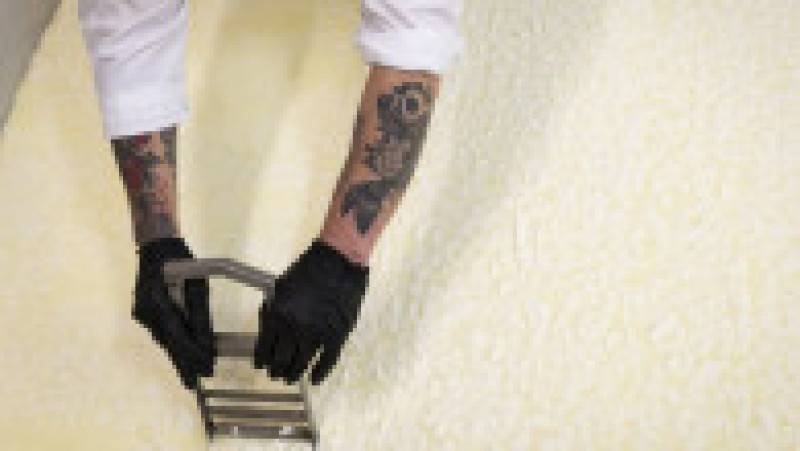 Deținuții prepară brânză la fabrica de lactate „Gerzovița” din închisoarea Smolean, pe 12 mai 2025. Foto: Profimedia | Poza 7 din 7