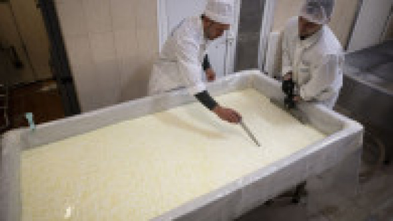 Deținuții prepară brânză la fabrica de lactate „Gerzovița” din închisoarea Smolean, pe 12 mai 2025. Foto: Profimedia | Poza 4 din 7