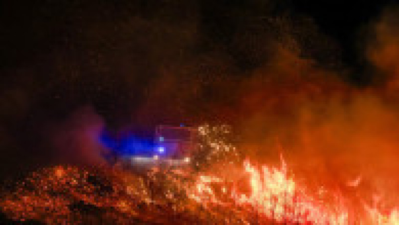 Foto: Profimedia | Poza 5 din 16