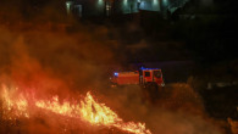Foto: Profimedia | Poza 2 din 16
