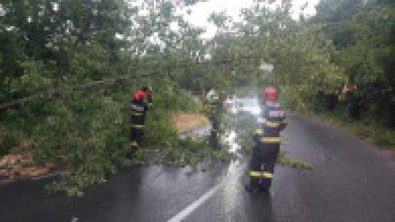 Foto: ISGU | Poza 1 din 3