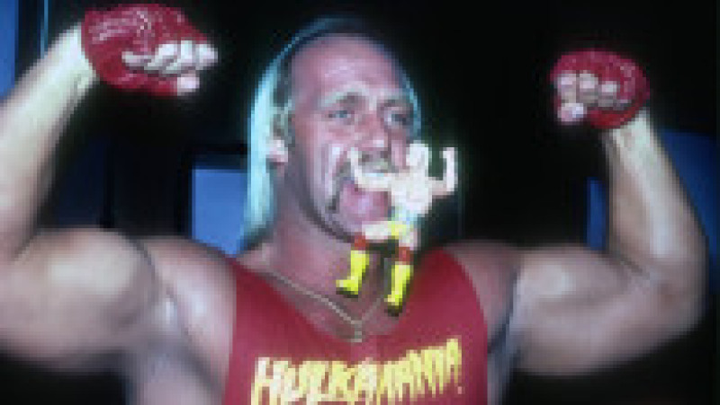 Hulk Hogan a murit la vârsta de 71 de ani Foto: Profimedia | Poza 6 din 10