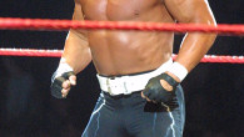 Hulk Hogan a murit la vârsta de 71 de ani Foto: Profimedia | Poza 8 din 10