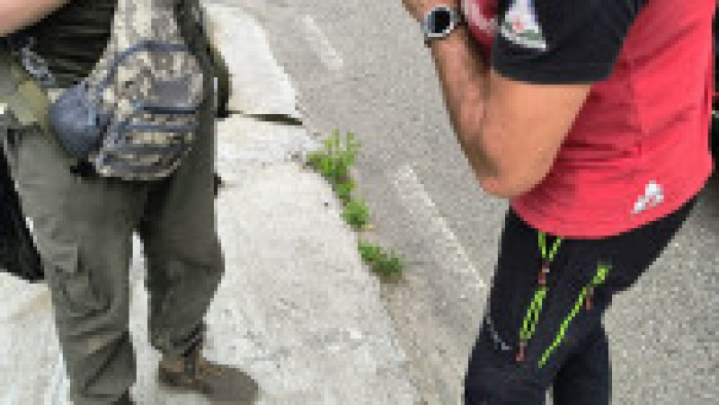 Foto: Salvamont Maramureș | Poza 2 din 3
