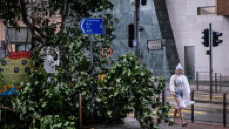 Ploile taifunului Wipha au lovit Hong Kong / Profimedia Images | Poza 14 din 24