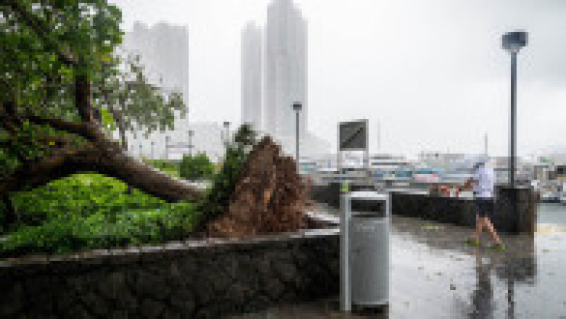 Ploile taifunului Wipha au lovit Hong Kong / Profimedia Images | Poza 12 din 24