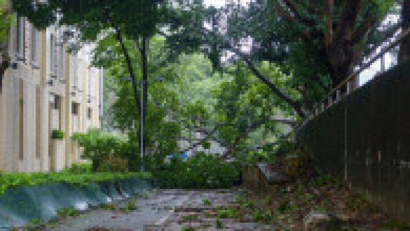 Ploile taifunului Wipha au lovit Hong Kong / Profimedia Images | Poza 7 din 24