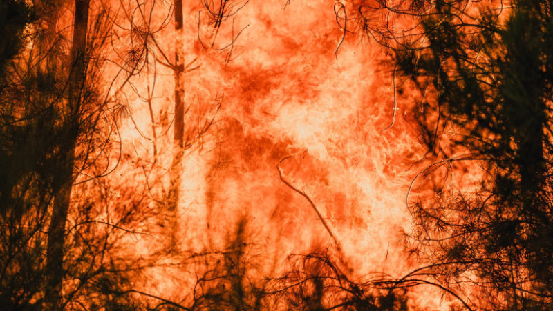 Incendiile de vegetație au făcut ravagii în mai multe regiuni de pe mapamond. Foto. Profimedia