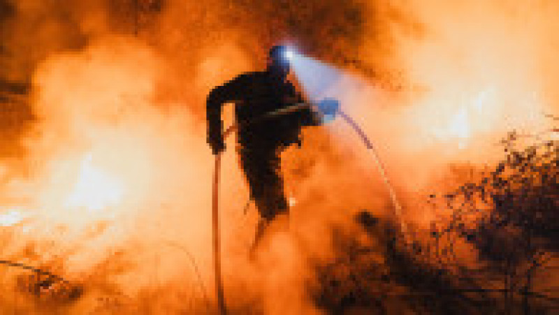 Incendiile de vegetație au făcut ravagii pe mapamond. Foto. Profimedia | Poza 2 din 5