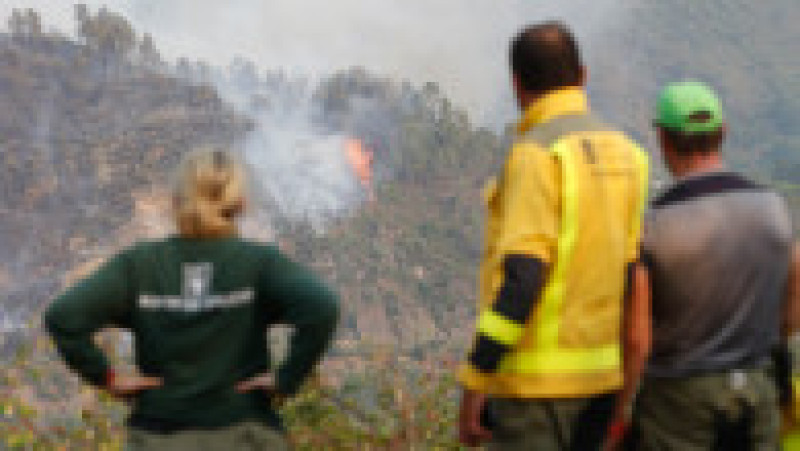 Incendiile de vegetație fac ravagii în Spania. Foto. Profimedia | Poza 3 din 5
