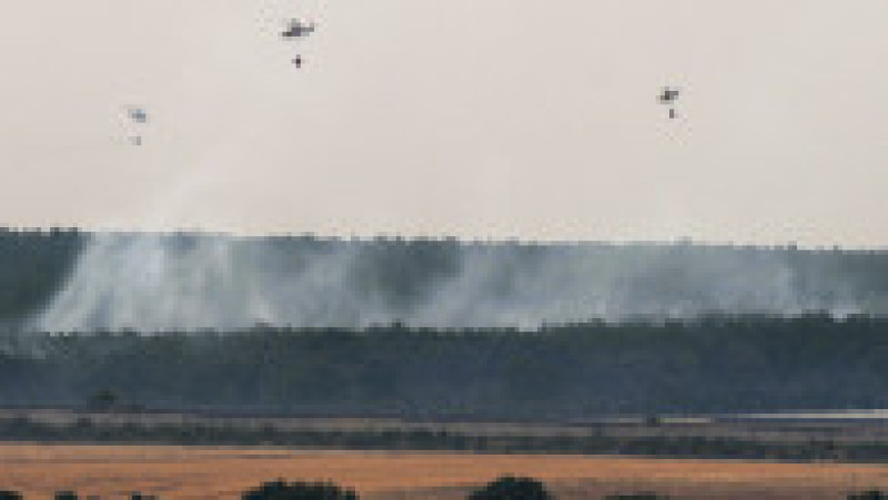 Incendiile de vegetație fac ravagii în Spania. Foto. Profimedia | Poza 4 din 5