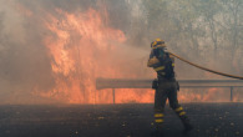 Incendiile de vegetație fac ravagii în Spania. Foto. Profimedia | Poza 5 din 5